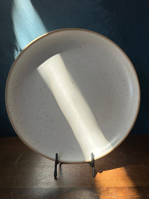 White Speckle Large Plate