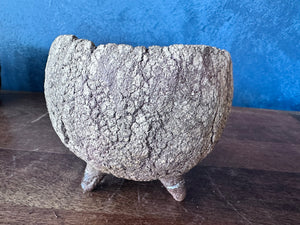 Natural Rough Planter
