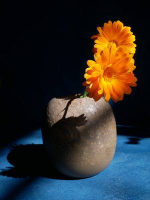 Earthy Tan Vase