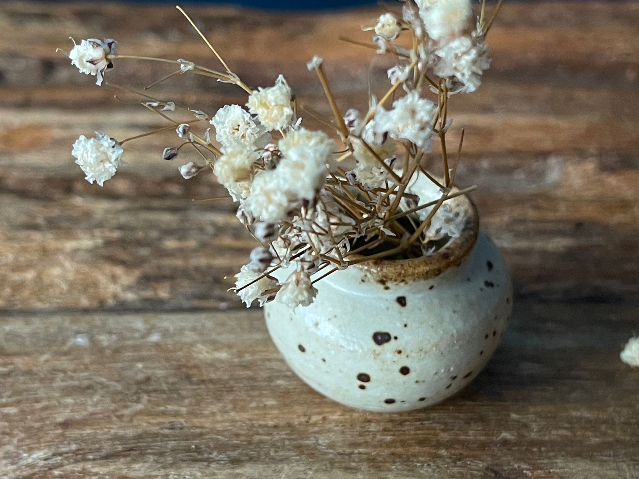 Hand-thrown Tiny Bud Vase / white speckled - S17