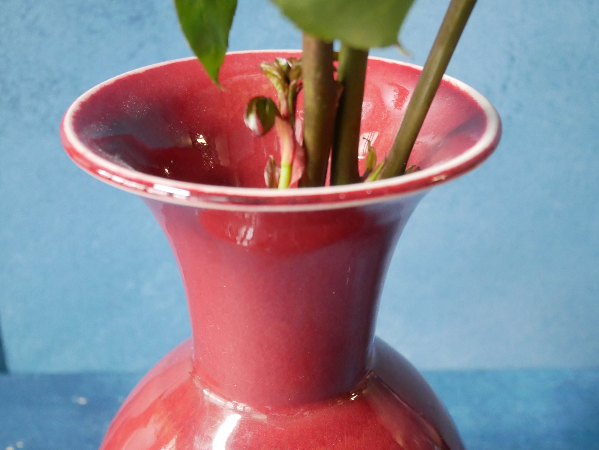 Copper Red Vase - V